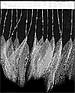bead and feather fringe